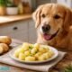olympian motors stock can dogs eat potatoes